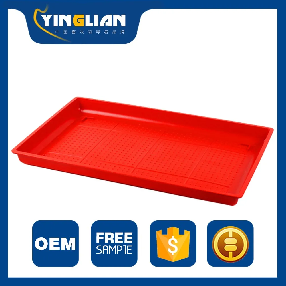 Plastic Baby Chicken Feeder Tray Poultry Chicken Feeding Tray Chick ...