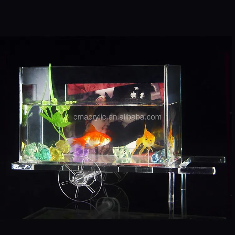 水槽用ミニクリアアクリルおもちゃ魚型 Buy おもちゃ魚の水槽 アクリルおもちゃの魚水族館 明確なおもちゃの魚の水槽 Product On Alibaba Com 水槽用ミニクリアアクリルおもちゃ魚型 Buy おもちゃ魚の水槽 アクリルおもちゃの魚水族館 明確なおもちゃの魚の水槽 Product On Alibaba Com