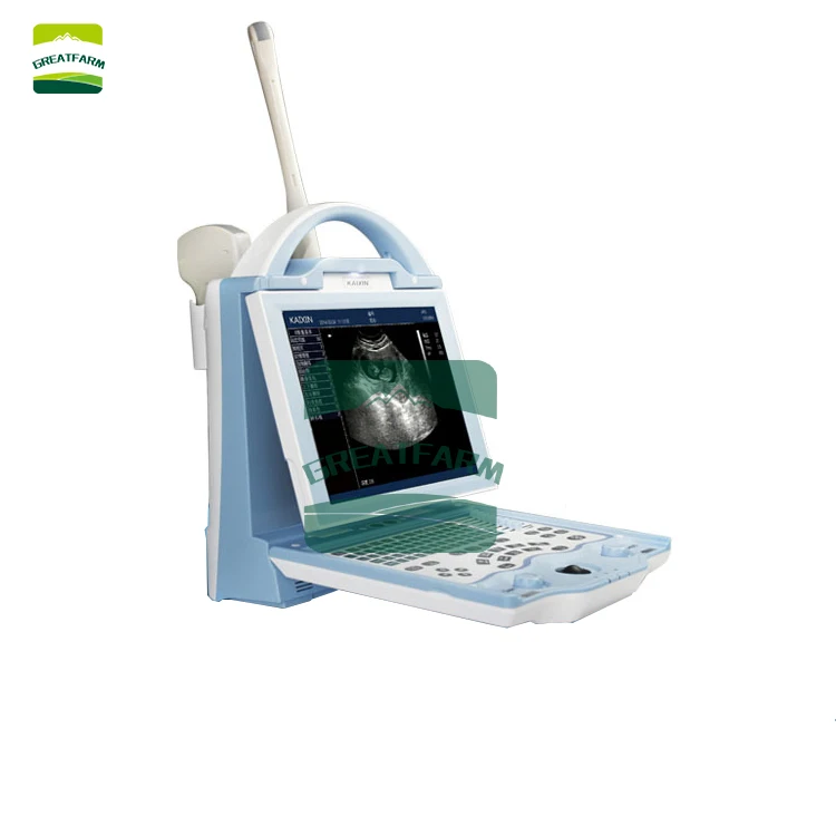 Dogs and cats special animal disease pregnancy detection equipment LED ultrasound scanner super large screen