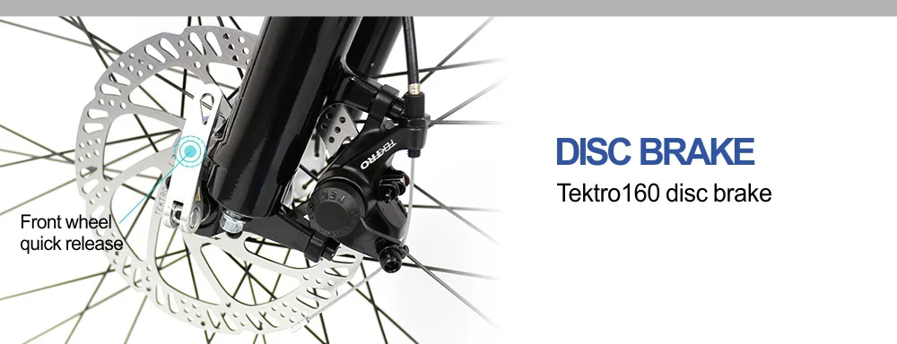 ebike
