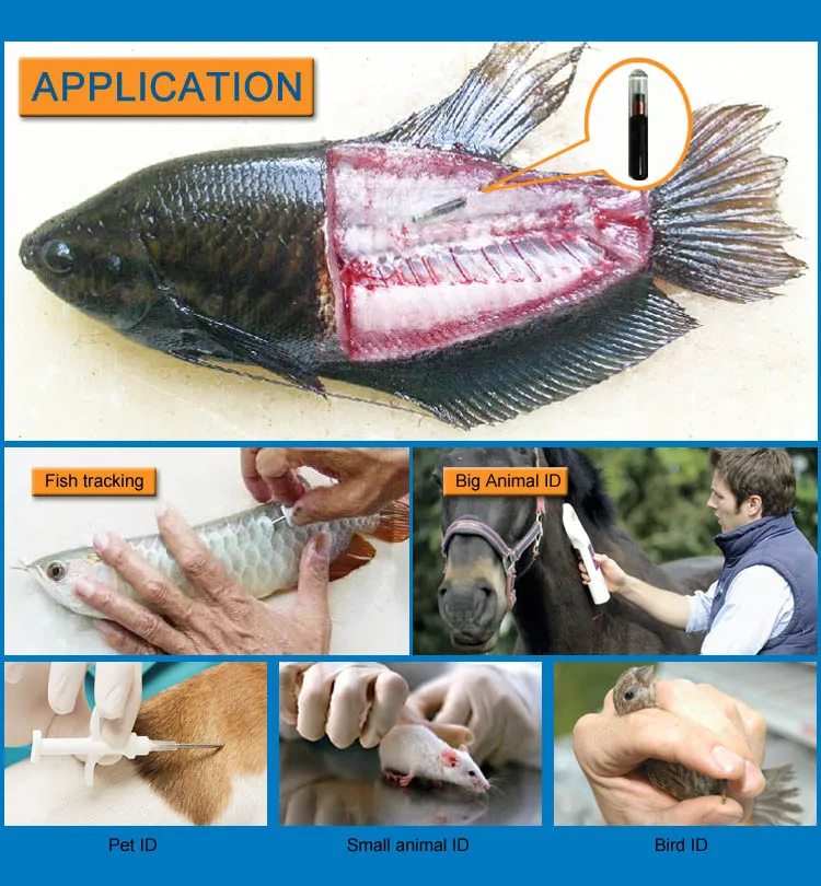 Injectable Pet Id Animal Tracking Chip Tag Rfid Nfc Microchip Implant