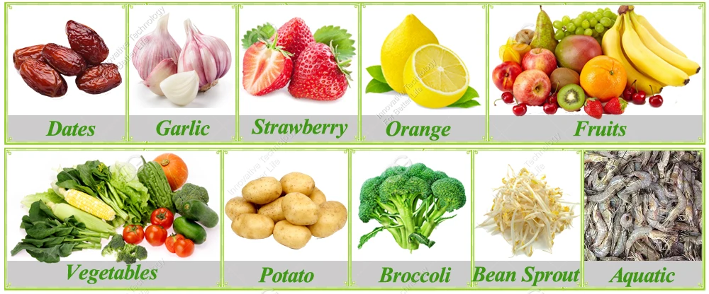 Fruit and Vegetable Washing and Drying Machine