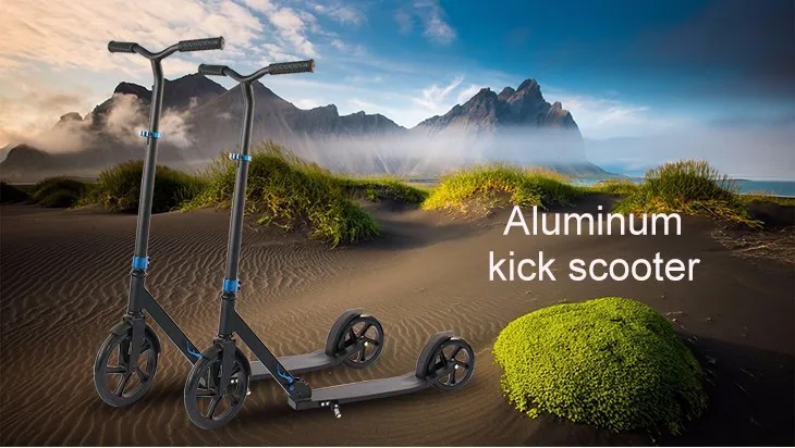 2 wheel kick scooter