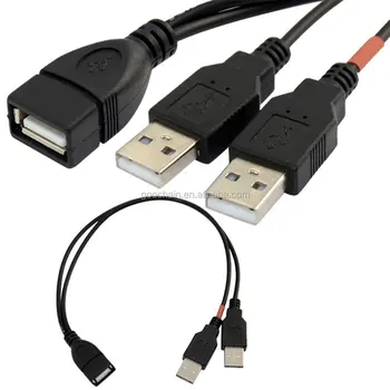 dual male usb cable