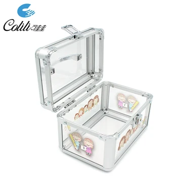 clear makeup vanity case