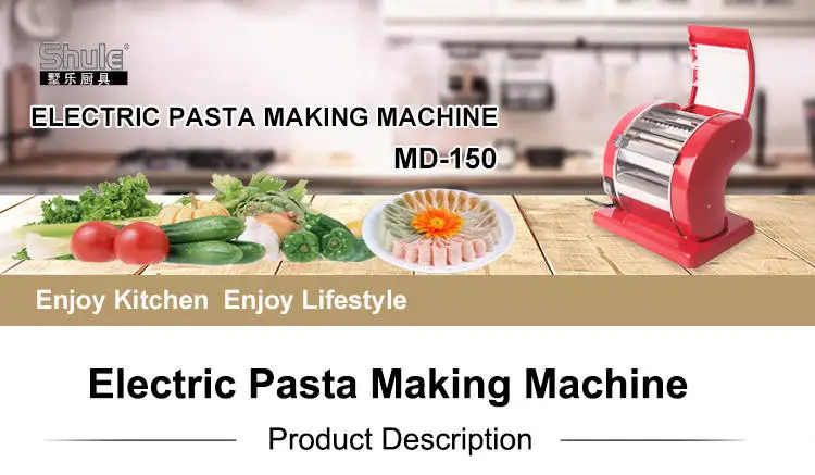 Hot Sale Stainless Steel Electric Homemade Fresh Pasta Making machine