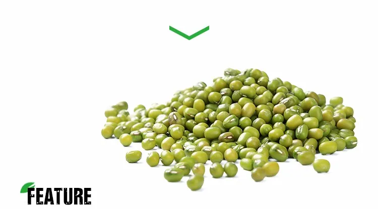 Agricultural crop green mung bean buyers with lower price