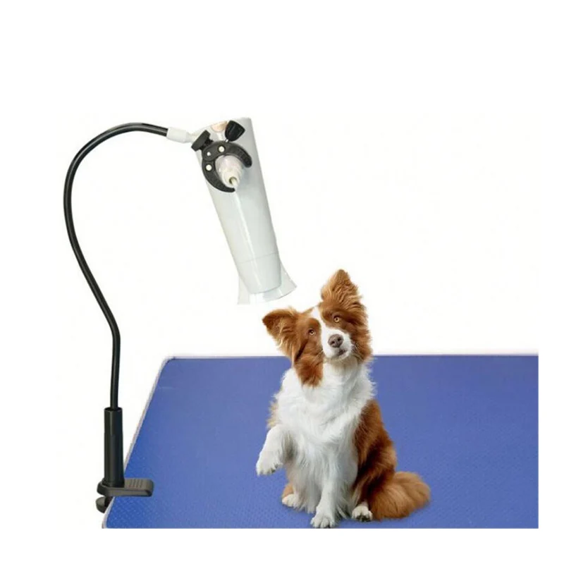 Pet Hair Drier Holder,H0thp Hair Dryer Holder Stand - Buy Hair Dryer