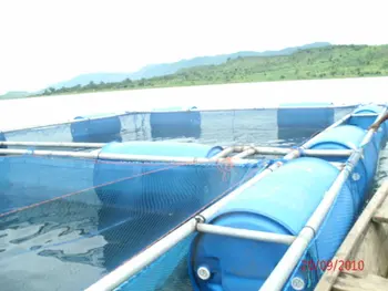 Fishing Farm Cages Automatic Feeder Investmest In Fish Farming