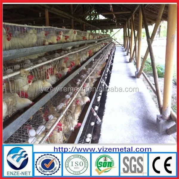 China Manufacturer Chicken Cage For Poultry Farm For Nigeria Layer Egg Chicken Cage Poultry Farm House Design Made In China Buy Poultry Farm