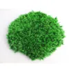 preserved moss lichen moss stabilized for house decoration