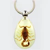 Glow In The Dark Resin Insect Key Chains Acrylic Keychain Factory