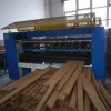Cardboard Slice Machine for Honeycomb and Corrugated Board