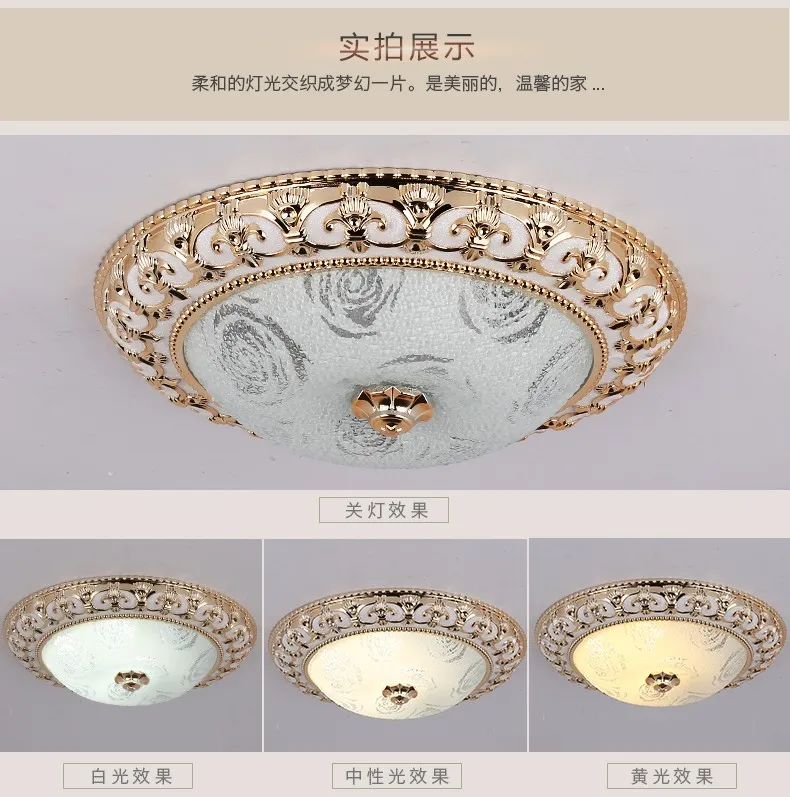 Top Selling Modern Plastic Ceiling Light With Glass Covers For House