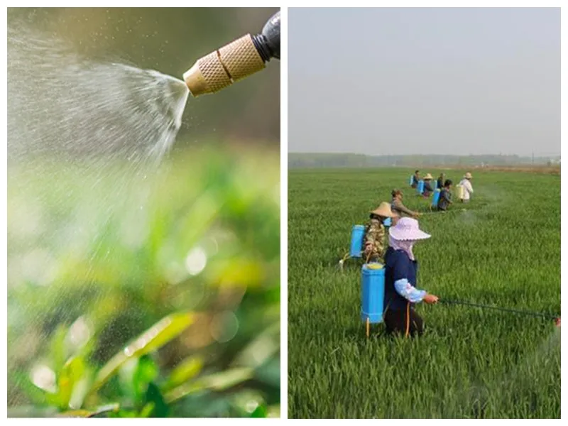 __.jpg