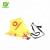 Customized Logo Promotional Polyester Diamond Kite