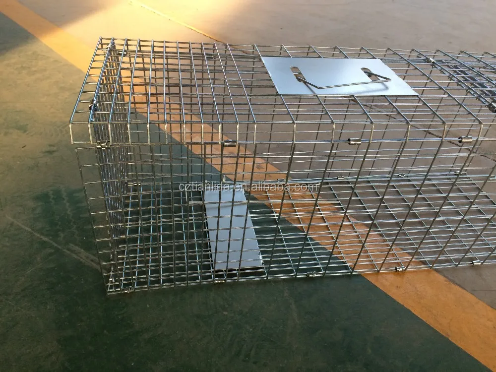 Galvanized Cat Cage Trap,Collapsible Cat Trap Cages,Cat Traps For Sale