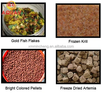 kinds of pet food