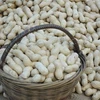 best quality new crop wholesale peanut in shell inshell peanut China origin 9/11 11/13