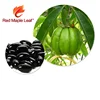 Slimming Function and Capsules Dosage Form quick slimming capsule