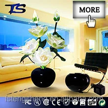 TS-C063 FIBER OPTIC FLOWER.jpg