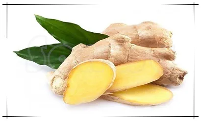 low price panax ginseng root extract msds ginsenoside