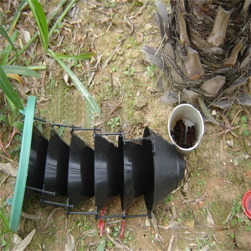 Multi Funnel Trap & Insect Pheromone Trap For Tree Insect Control Buy