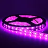 Jiaxing factory led lighting products Waterproof ip65 ip68 pink rgb color smd5050 2835 12v 24v 110v 220v led light strip