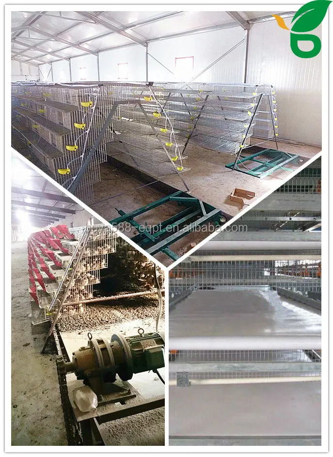 6 Tiers Quail Cage Philippines For Quail Laying With Water Cup - Buy