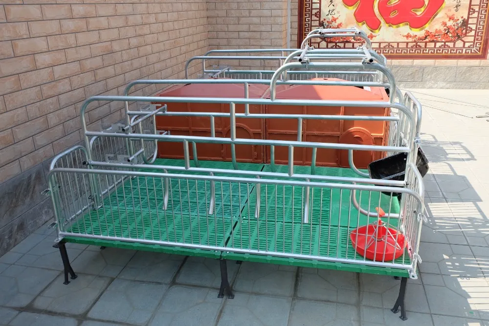 Pig Farming Equipment With Farrowing Crates For Sale Buy Pig Farming