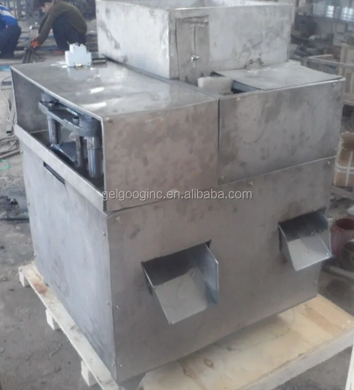 Gelgoog Date Cleaning Machine - Efficient & Automatic