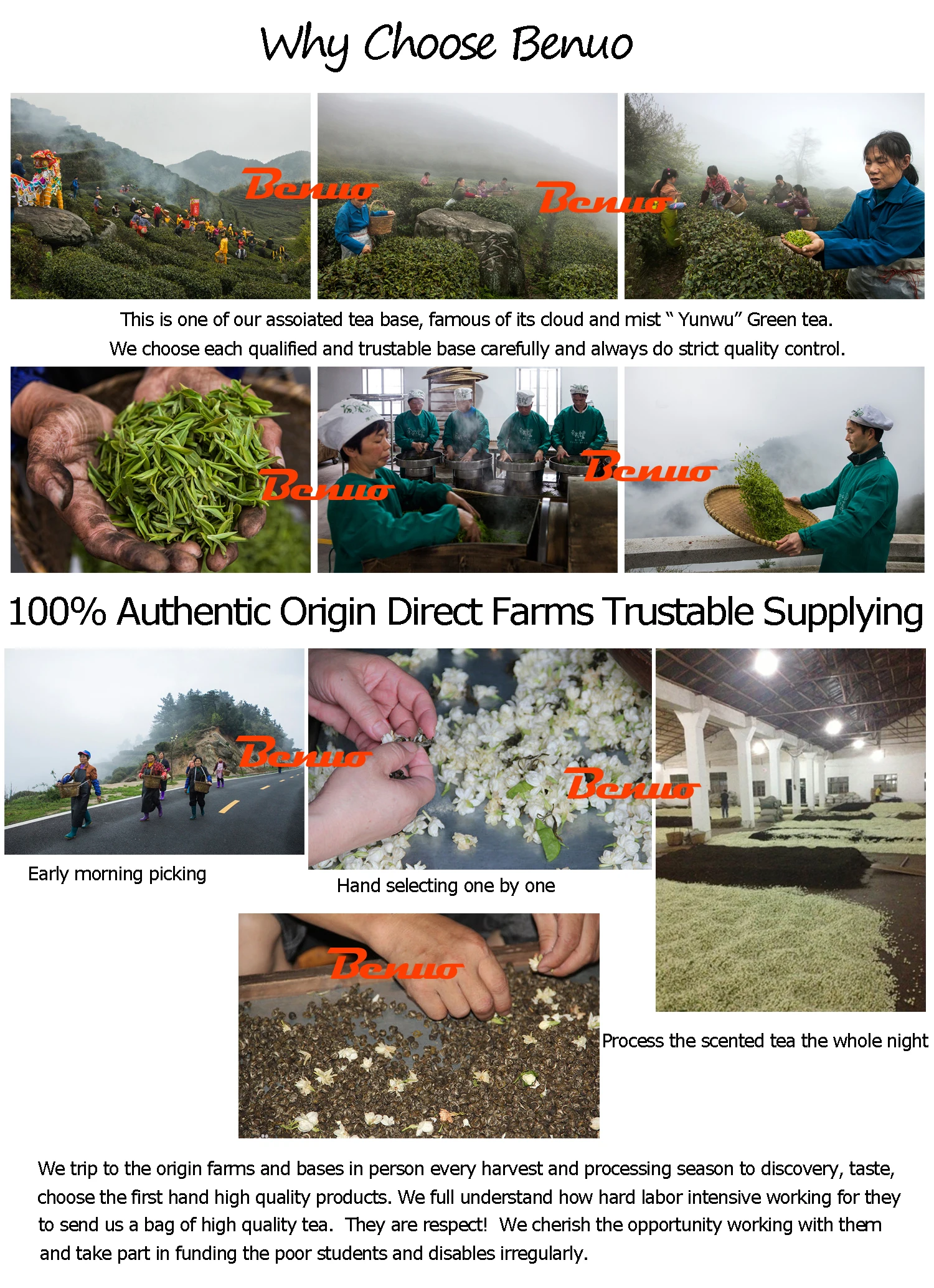 Premium Spring Anxi Ti Kwan Yin Oolong Tea for Losing Weight