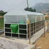 Teenwin Best Price Portable Assembly Membrane Anaerobic Digester Price