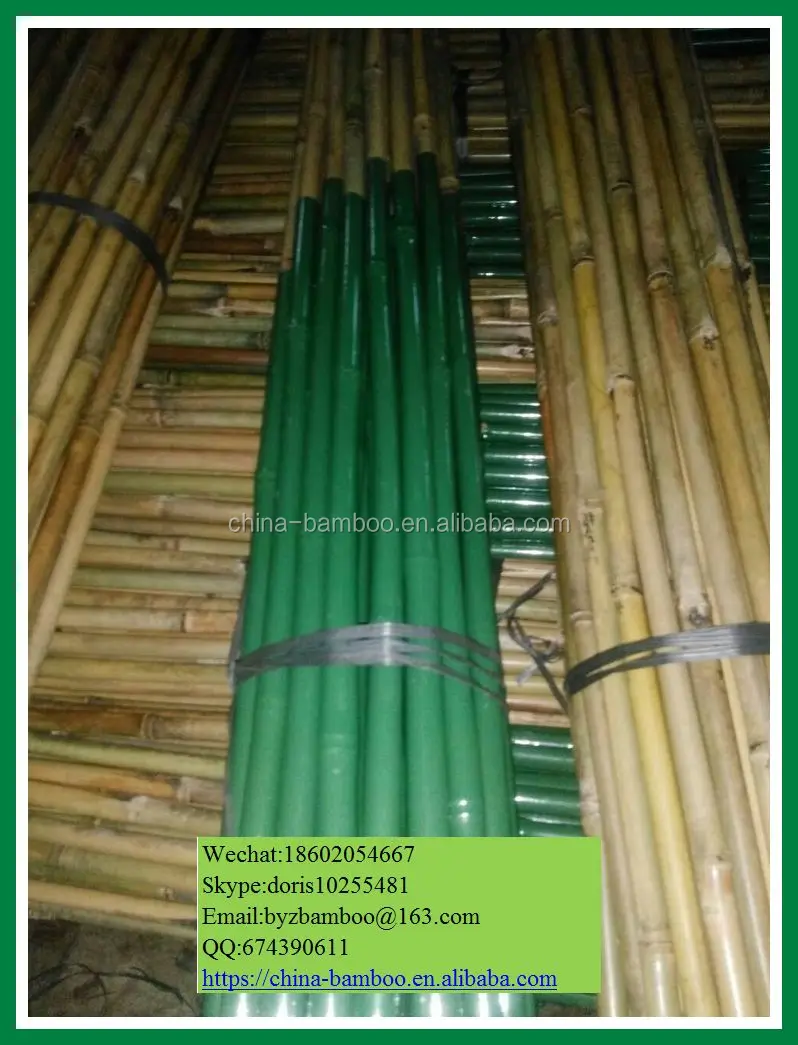Bamboo Pole With Pvc Cover,Bamboo Cane With Pvc Coated .stoc Bamboo Stick Buy Cheap Nuture