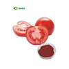 /product-detail/dried-tomato-powder-green-tomato-powder-production-line-dehydrated-dried-tomato-powder-357703881.html