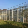 Shading net hot dip galvanized angle steel multi span glass greenhouse green house winter