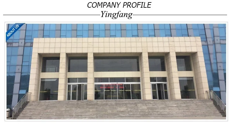 Company profile 
