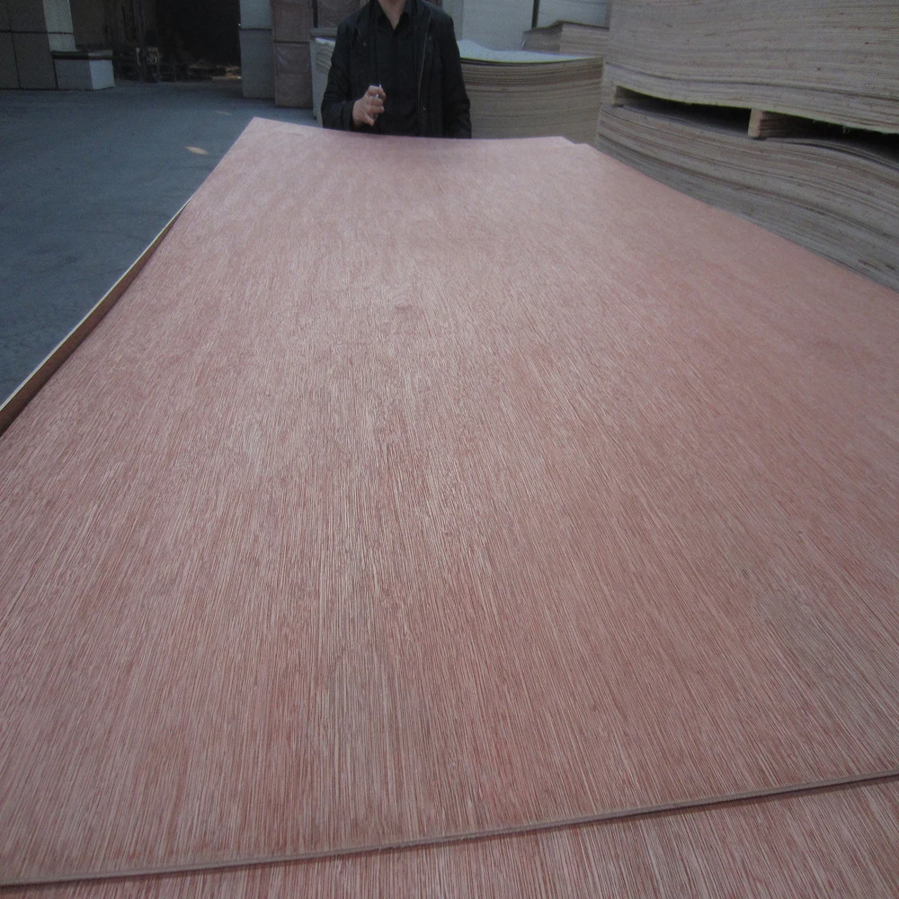 BINTANGOR  GTCO (2).JPG