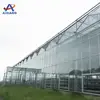 Chinese manufacturer cheap price glass cover greenhouse and irrigation hydroponics heating system