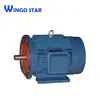 110 Volt Universal Brushless y Series Three-Phase Induction Electric Motor