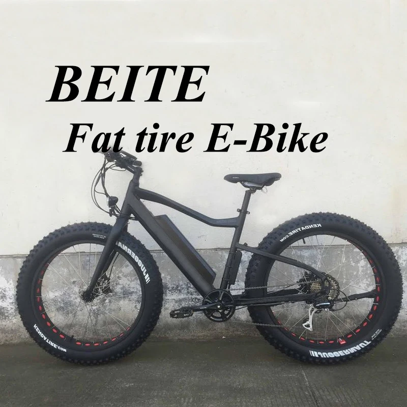 Fat Tire Electric Cycle,Electric Power 