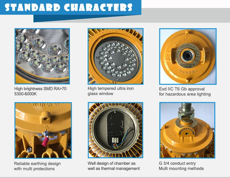 20/40/60/80/100/120/150/180/200W IP66 100lm/w Led Explosion-proof Light