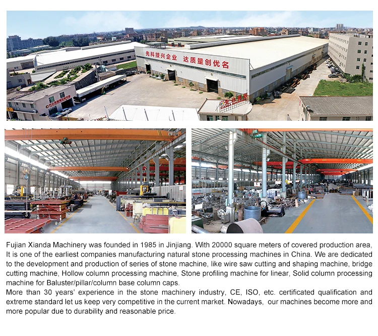 Company Information