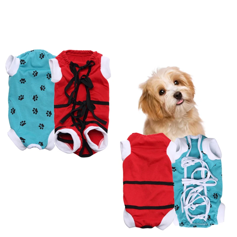 dog clothes for sale