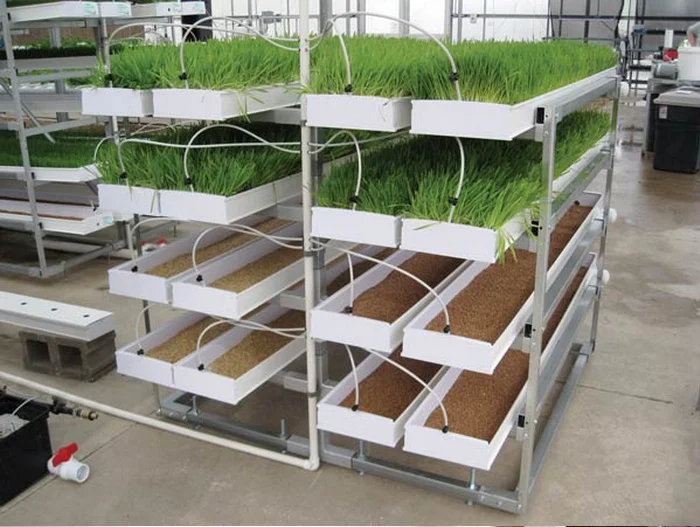 Hydroponic Fodder Container System, View Hydroponic Fodder System ...