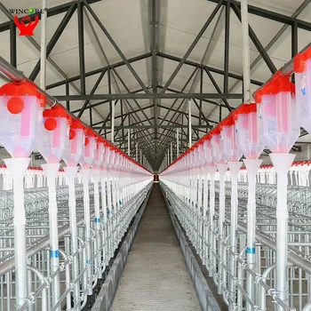 Good Manufacturer Agriculture Automatic Pig Feeder System Factory