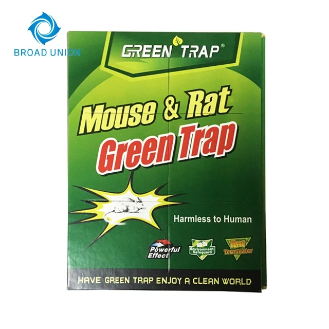 Take your time slavique green. трэп казань. Slavique green. Green traps. Green traps.