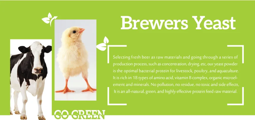 good protein source for animal feed brewer dried yeast / feed grade yeast