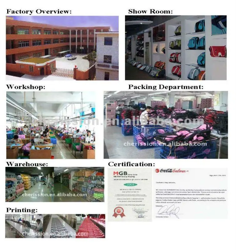 company introduction-1