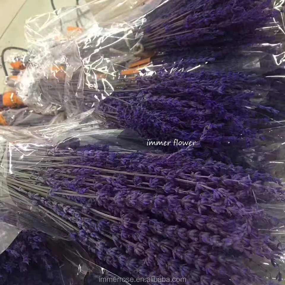 Dried Lavender Dry Flower Preserved Lavender Flower Buy Lavender Dry